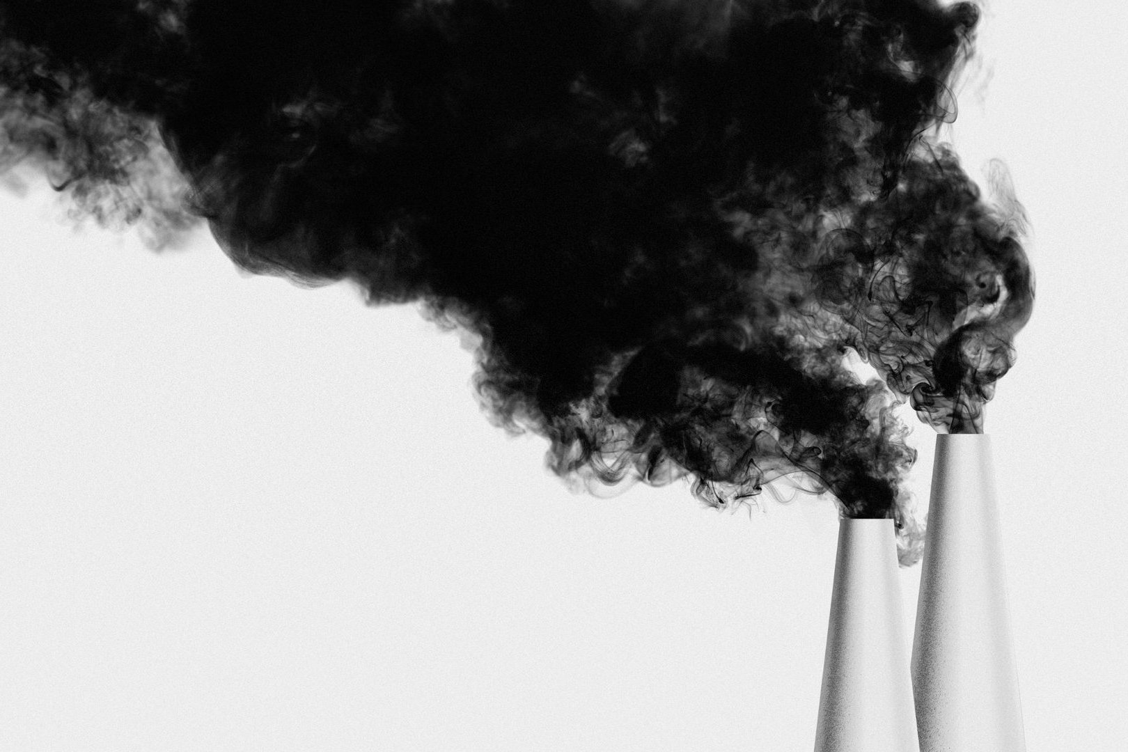 129244.max-1920x1080.original_flip